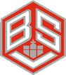 logo-bsv-x108