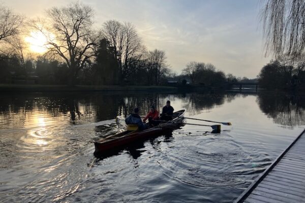 Grautvornix im Wasser